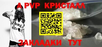 спиды Аргун