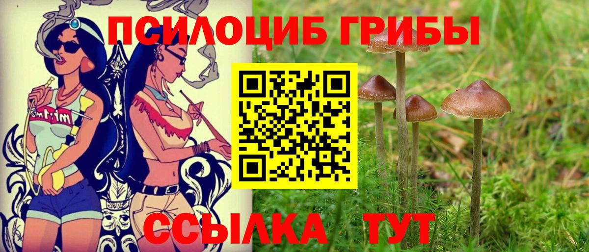 Артёмовский  Псилоцибиновые грибы прущие грибы  Вход с VPN 
